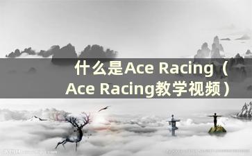 什么是Ace Racing（Ace Racing教学视频）